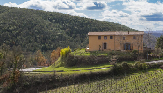 B&B Musu&Demelas